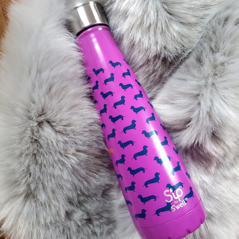 SIP BY SWELL Stainless Steel 15 Oz Dog Bottle